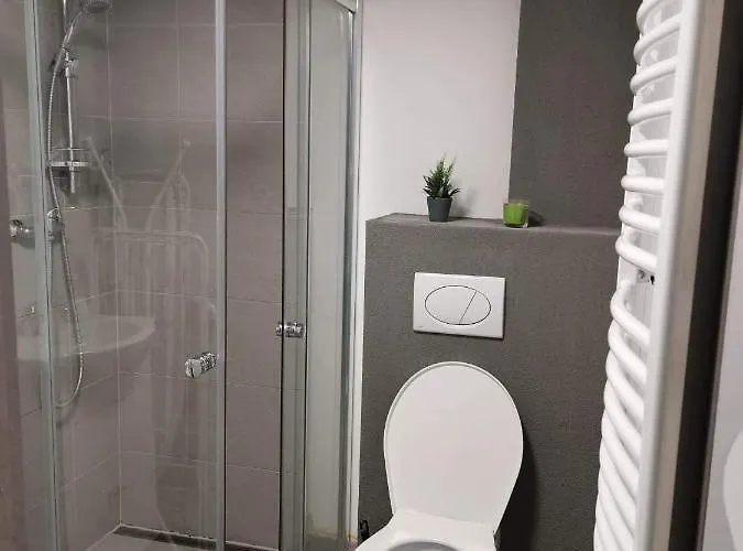 Alisza'S Studio Apartamento Budapest