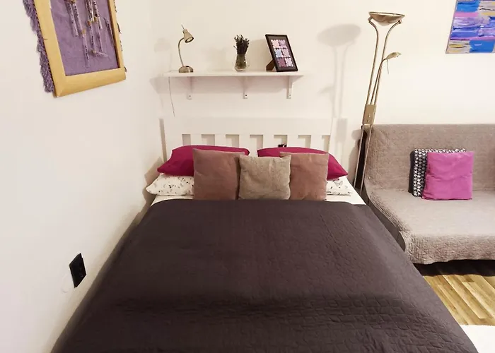 Nati Apartman Budapest admite animales