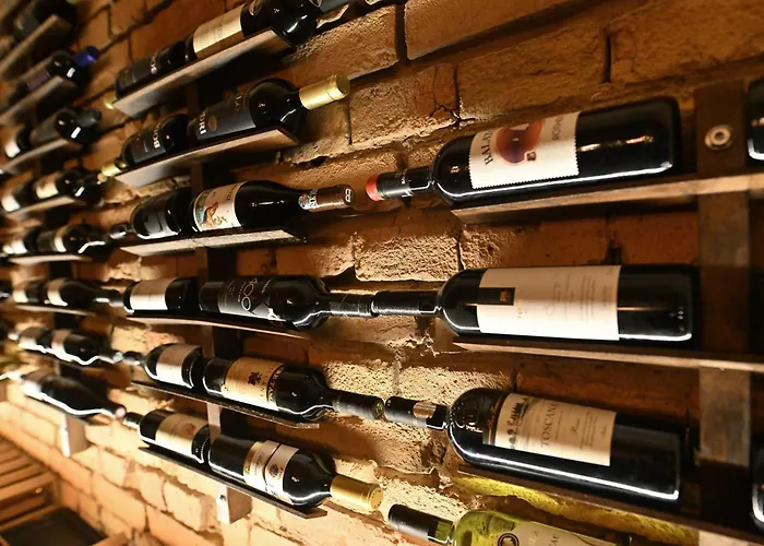 Goldcentral Apartments - Stylish Apartments - Wine Tasting Access Budapest