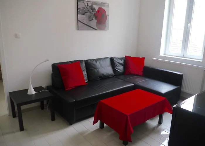 Inner-City Flat Budapest admite animales