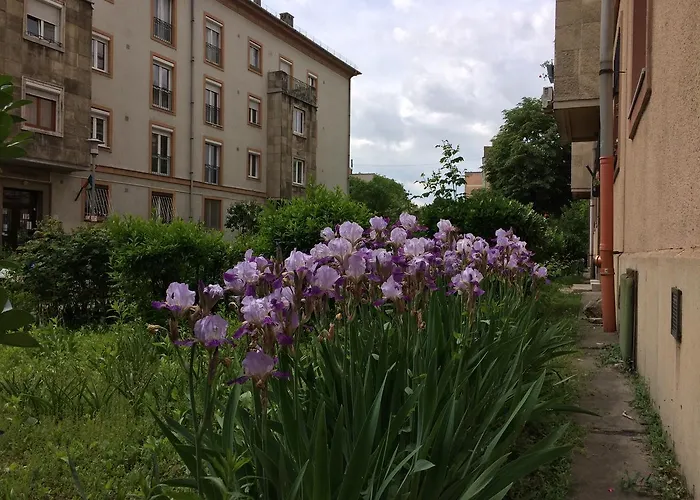 Írisz Apartman Budapest